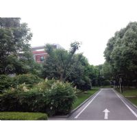 景觀綠地養(yǎng)護現(xiàn)場照片 景觀綠地養(yǎng)護現(xiàn)場照片